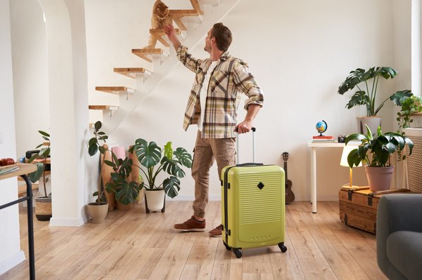 Voyager avec un chat : tout ce qu'il faut savoir !